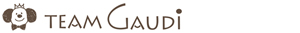TeamGaudi 工房チームガウディ
