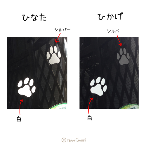 カッティングステッカー制作販売