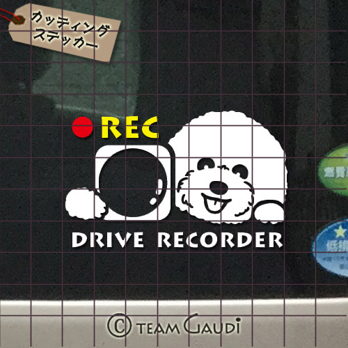 TEAMGAUDI　チームガウディ　オリジナルデザイン　フレブル　フレンチブルドッグ　ドライブレコーダー録画中　煽り運転防止　ドラレコステッカー　ステッカー