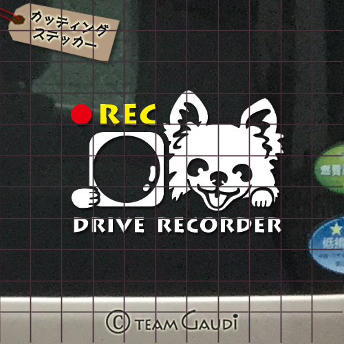 TEAMGAUDI　チームガウディ　オリジナルデザイン　シーズー ドライブレコーダー録画中　煽り運転防止　ドラレコステッカー　ステッカー
